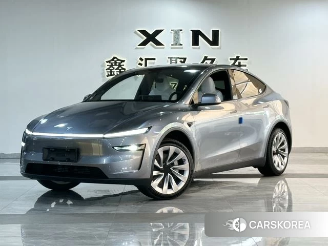 Tesla Model Y id 4207009 из Китая 8