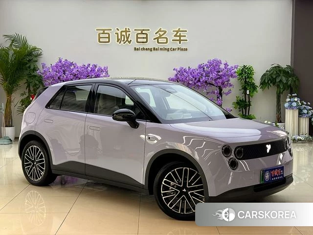 firefly firefly Unknown id 4198925 из Китая 8