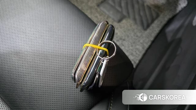 Renault Korea (Samsung) Arcana id 4359961 из Кореи 8