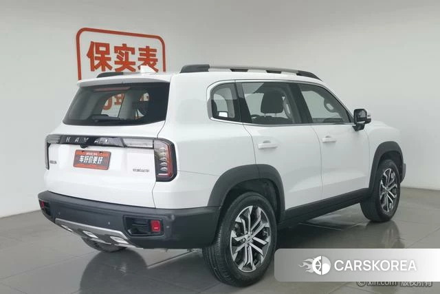 Haval Big dog id 3983152 из Китая 8