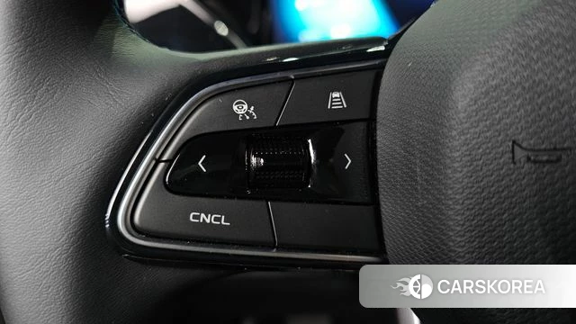 Renault Korea (Samsung) Grand Coleos id 4200981 из Кореи 8