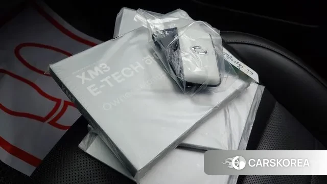 Renault Korea (Samsung) XM3 id 3425321 из Кореи 8