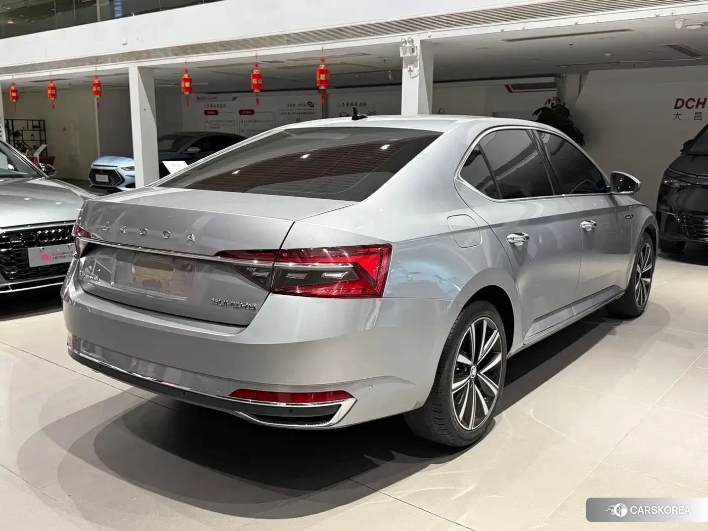 Skoda Speed pie id 4576264 из Китая 8