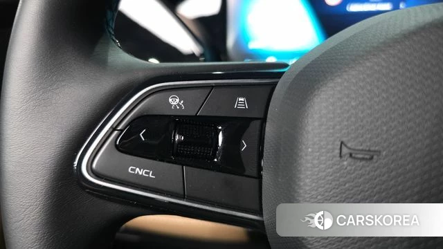 Renault Korea (Samsung) Grand Coleos id 4527468 из Кореи 8