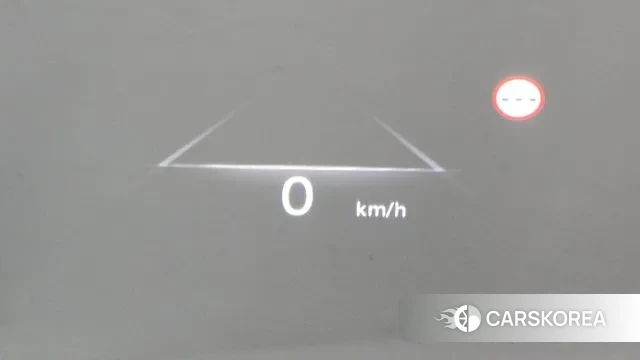 Genesis G80 (RG3) id 3032503 из Кореи 8