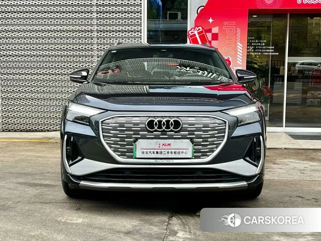 Audi Q4 e-tron id 4290006 из Китая 8