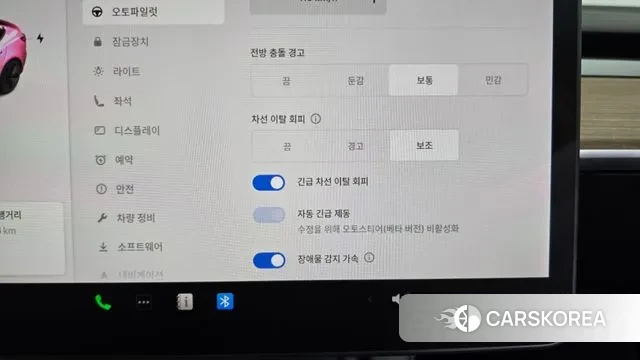 Tesla Model 3 id 3621161 из Кореи 8
