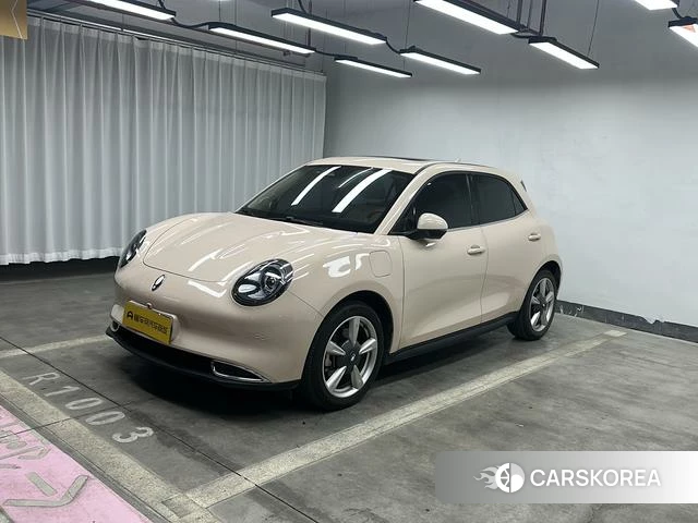 Euler Good cat id 3875987 из Китая 8