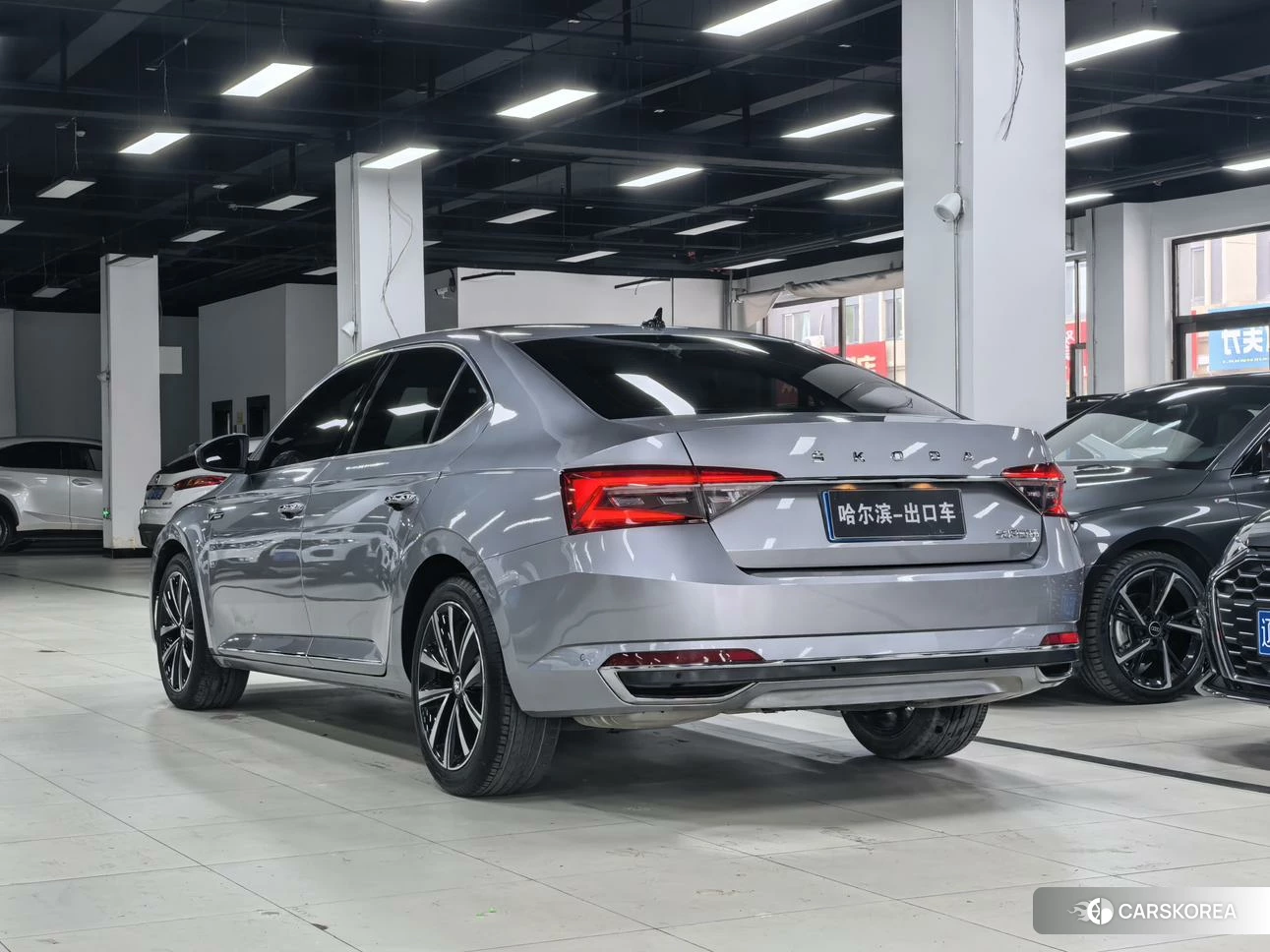 Skoda Speed pie id 4452178 из Китая 8