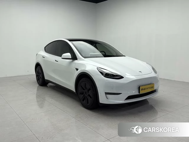 Tesla Model Y id 4238266 из Китая 8