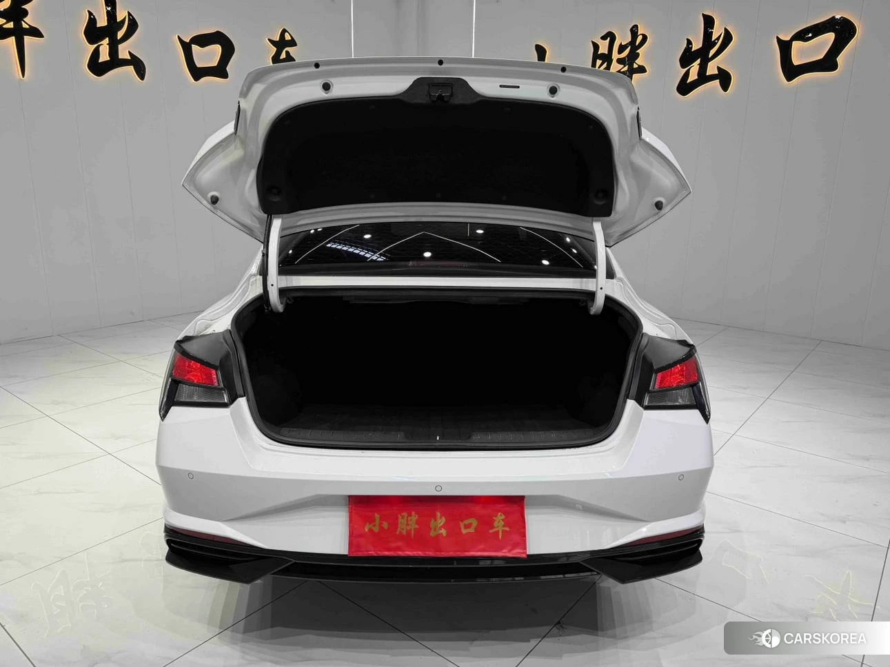 Hyundai Elantra id 4498898 из Китая 8
