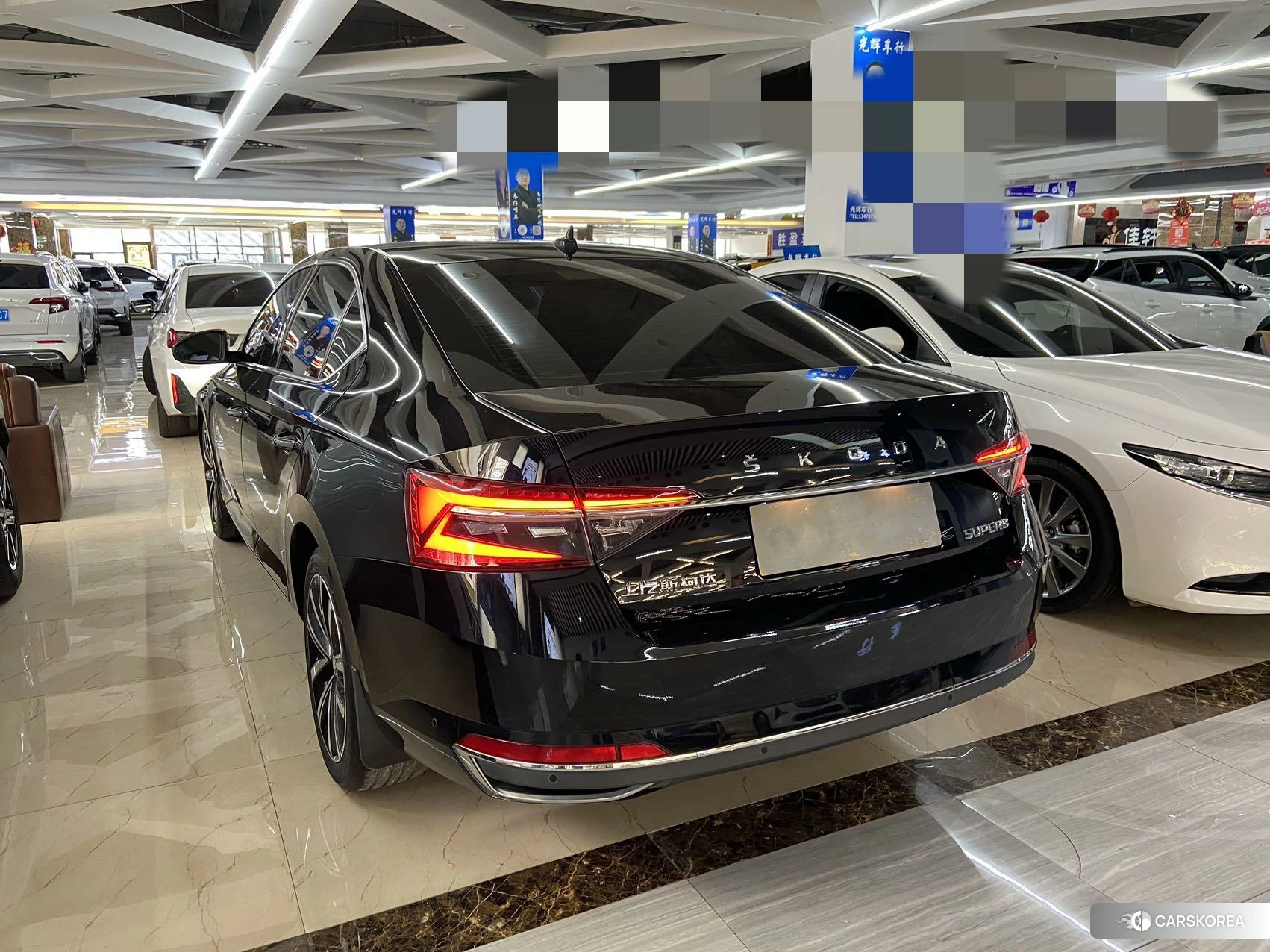 Skoda Speed pie id 4514805 из Китая 8