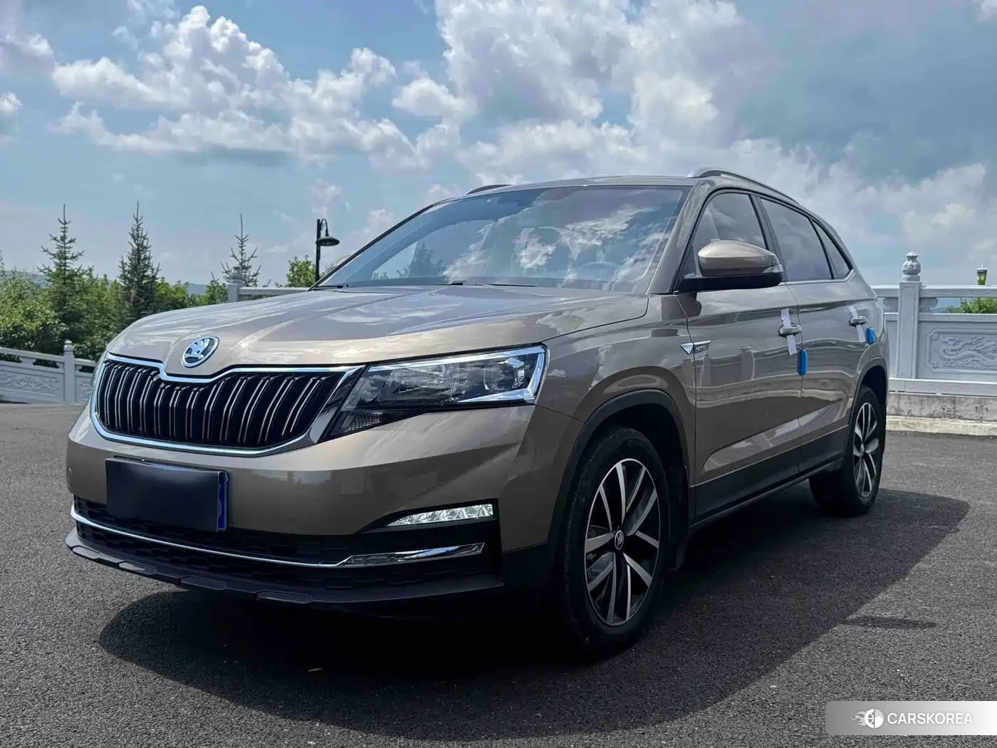 Skoda Kamiq id 4622286 из Китая 8