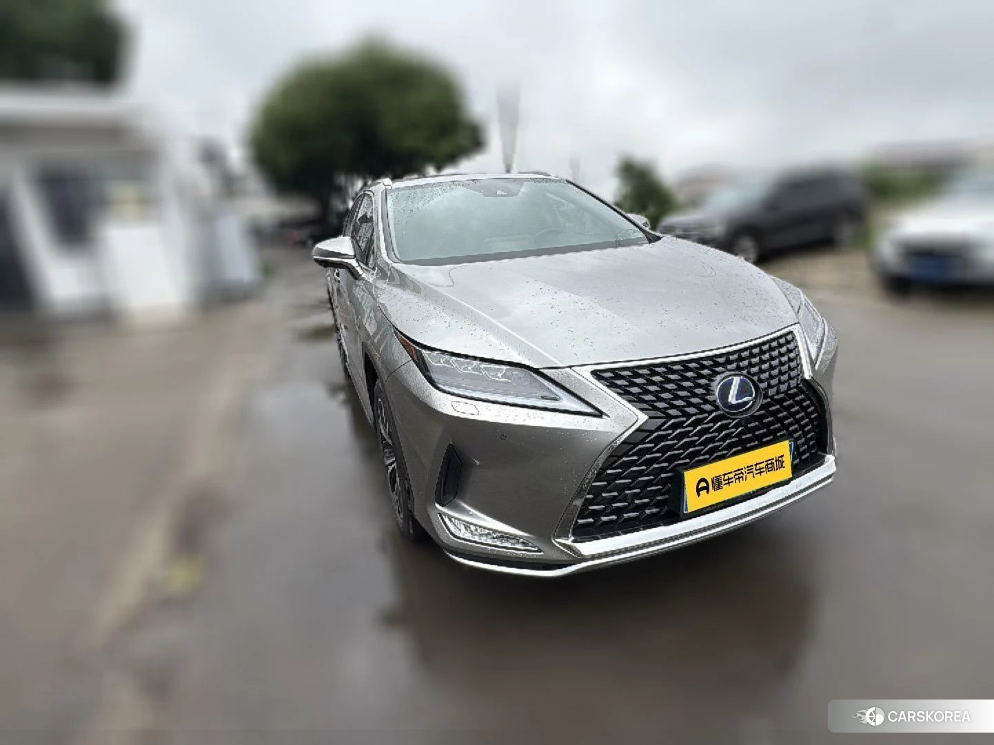 Lexus RX id 4461706 из Китая 8