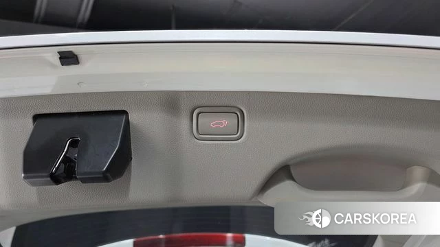 Kia The New Carnival id 4482994 из Кореи 8