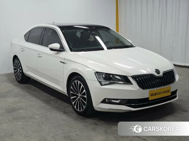Skoda Speed pie id 4212782 из Китая 8
