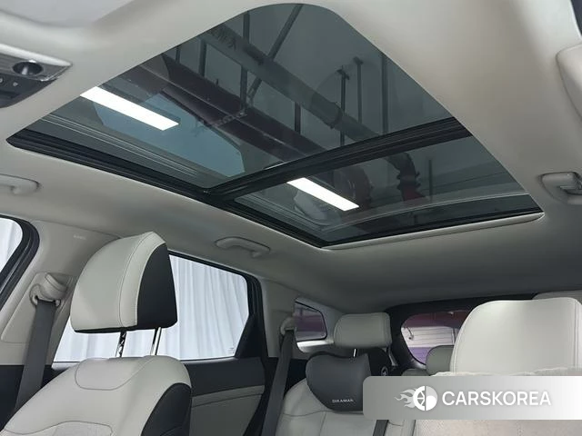 Kia Lion Platinum expands the world id 4277449 из Китая 8