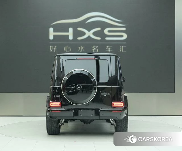 Mercedes-Benz G-class id 4328607 из Китая 8