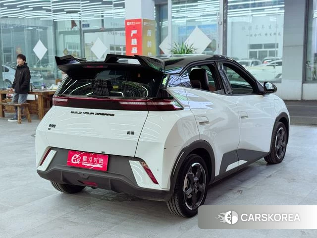 BYD Seagull id 3856230 из Китая 8
