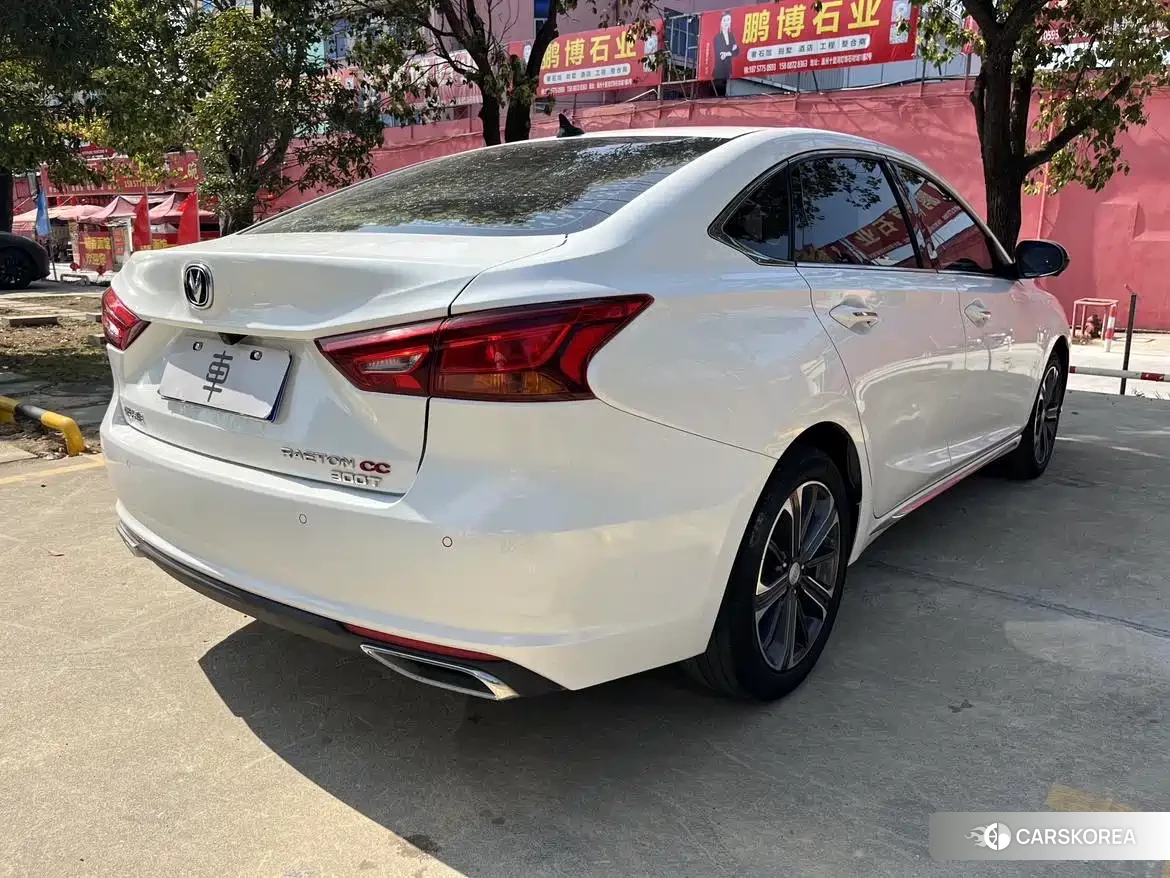 Chang'an Ruicheng CC id 4546169 из Китая 8