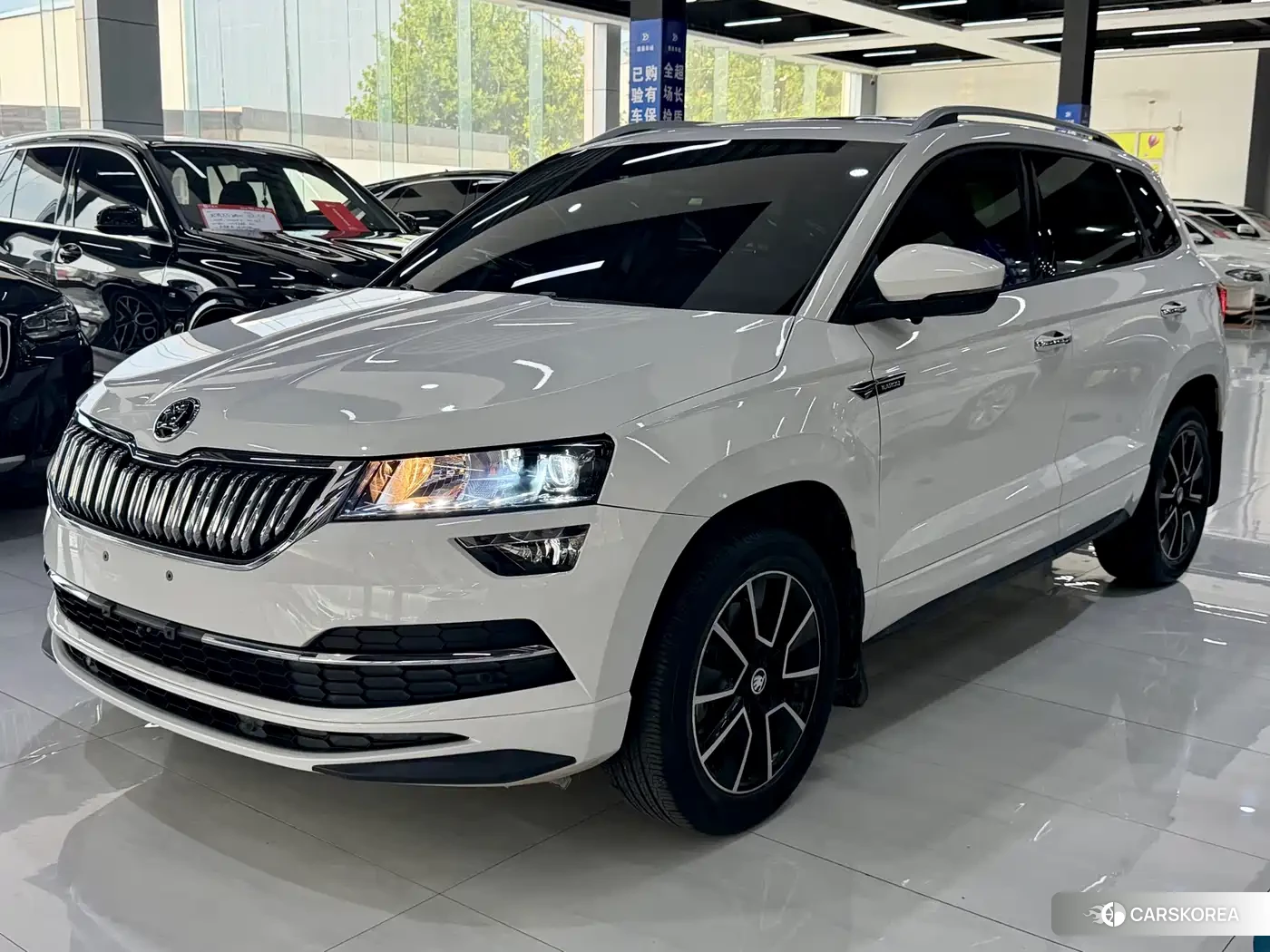 Skoda Krok id 4570367 из Китая 8