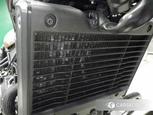 Honda REBEL 1100 id 4184964 из Японии 8