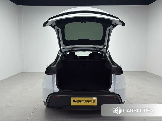 Tesla Model Y id 4238862 из Китая 8