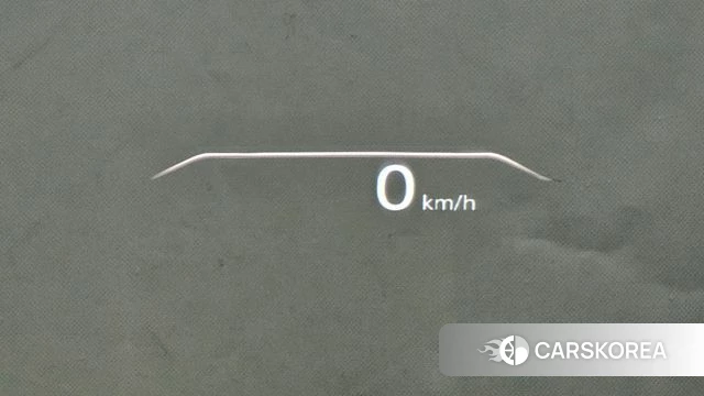 Genesis G80 (RG3) id 4721721 из Кореи 8