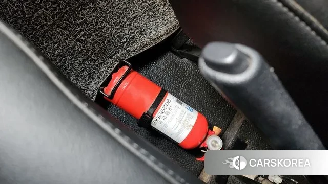 Renault Korea (Samsung) Master id 3112038 из Кореи 8