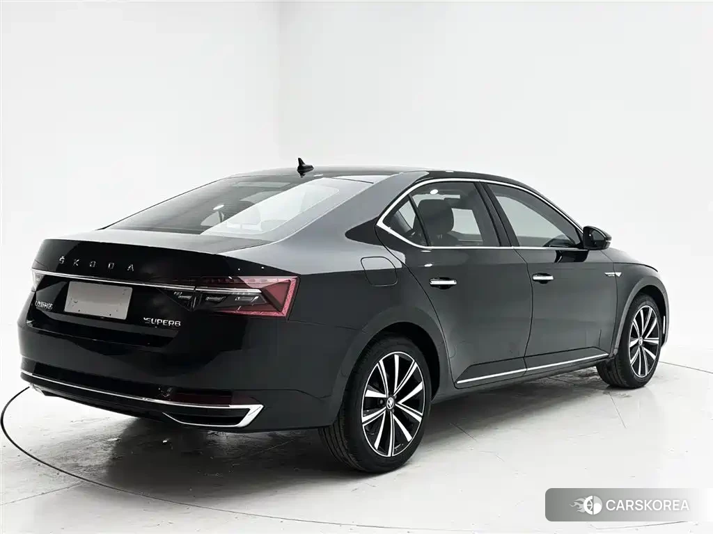 Skoda Speed pie id 4578276 из Китая 8
