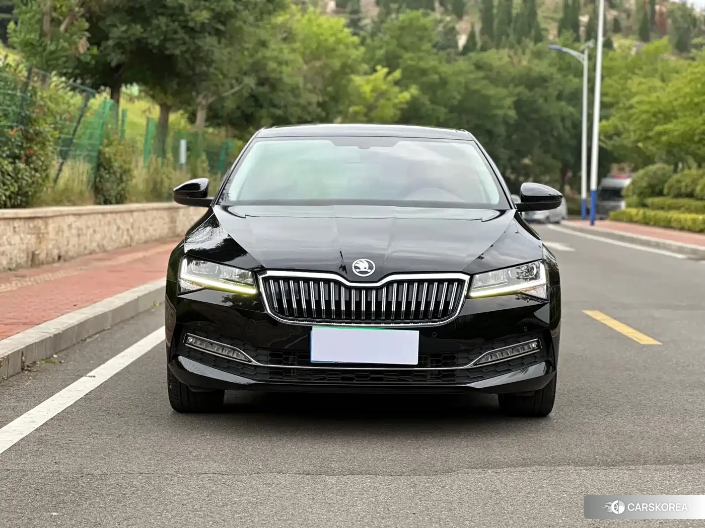 Skoda Speed pie id 4515554 из Китая 8