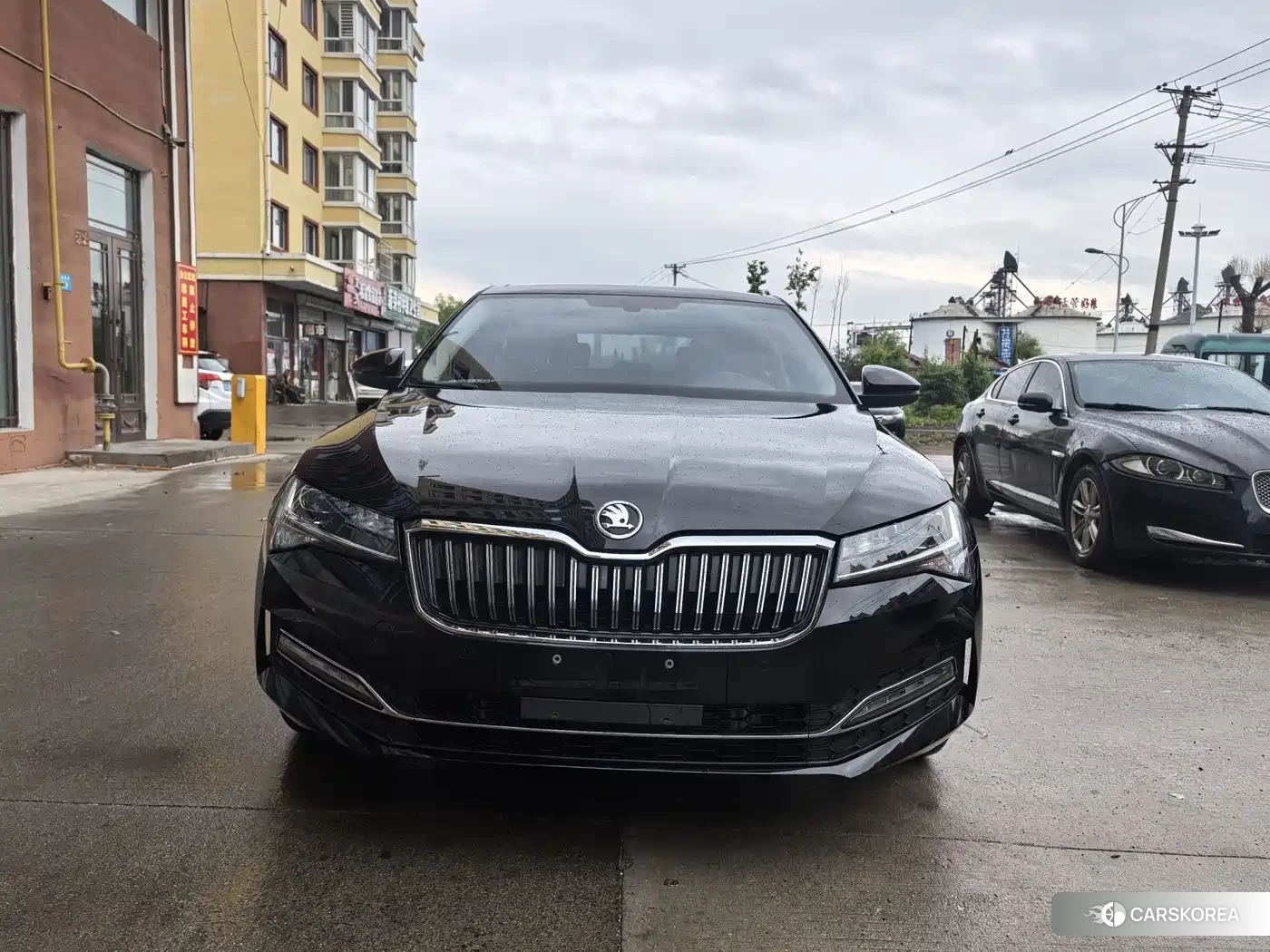 Skoda Speed pie id 4514093 из Китая 8