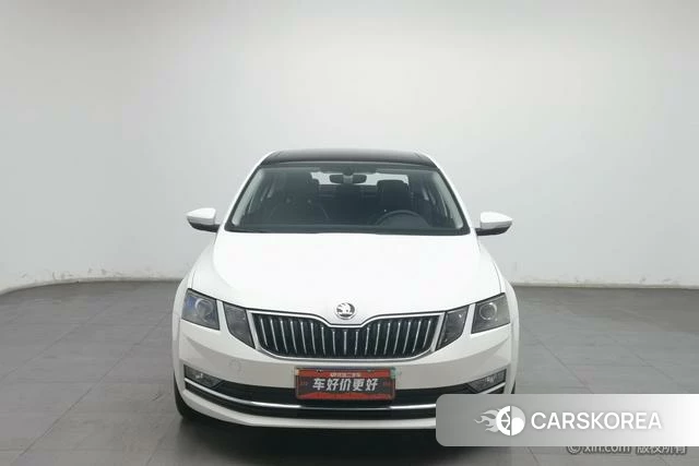 Skoda Octavia id 4211241 из Китая 8