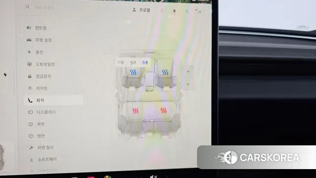 Tesla Model 3 id 3659015 из Кореи 8