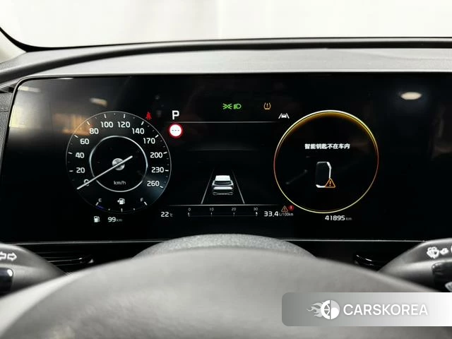 Kia Lion Platinum expands the world id 4209049 из Китая 8