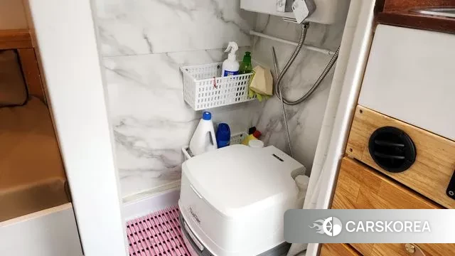 Renault Korea (Samsung) Master id 3226269 из Кореи 8