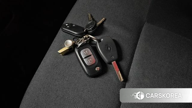 Renault Korea (Samsung) Master id 4496624 из Кореи 8