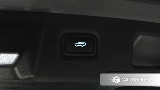 Hyundai The New Santa Fe id 4608685 из Кореи 8