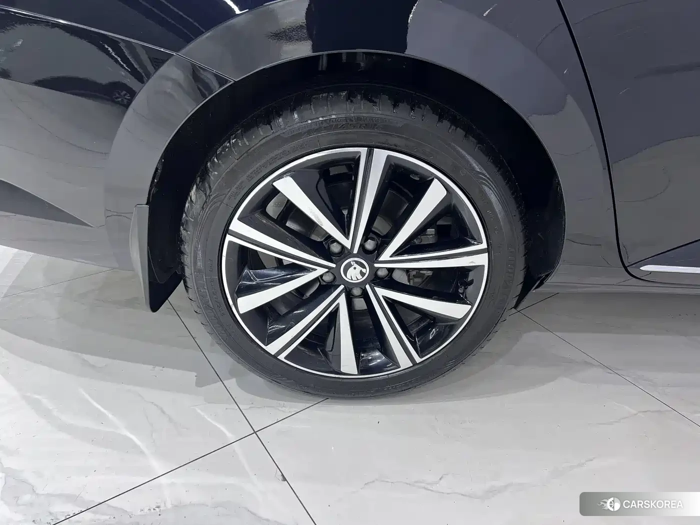 Skoda Speed pie id 4547482 из Китая 8