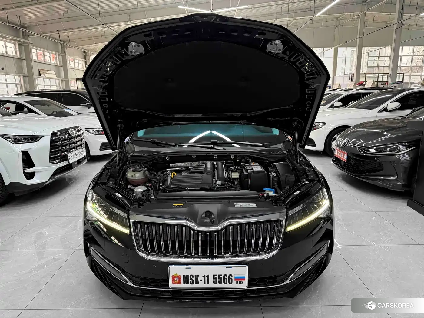 Skoda Speed pie id 4570368 из Китая 8