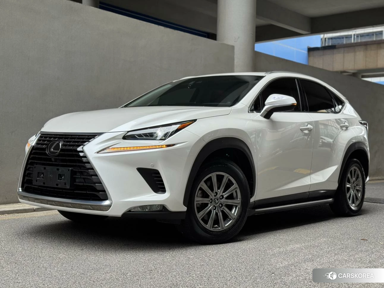 Lexus NX id 4486292 из Китая 8