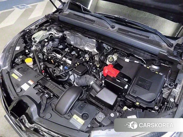 Renault Korea (Samsung) XM3 id 3379848 из Кореи 8