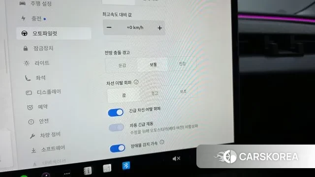 Tesla Model 3 id 3739445 из Кореи 8