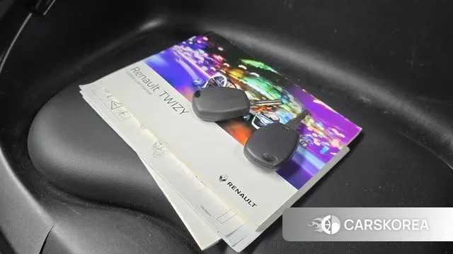 Renault Korea (Samsung) Twizy id 3059859 из Кореи 8