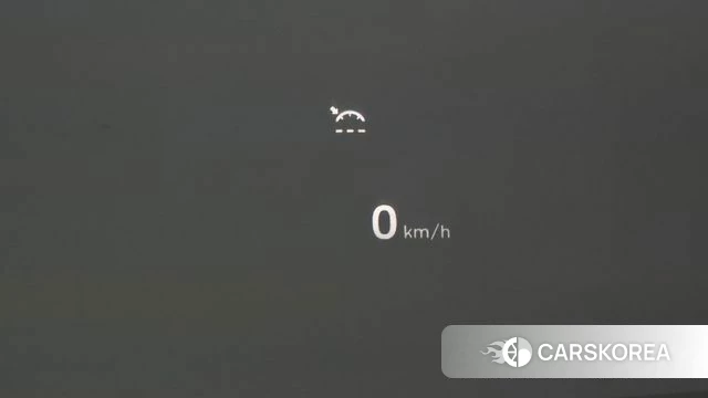 Genesis G90 id 3828938 из Кореи 8