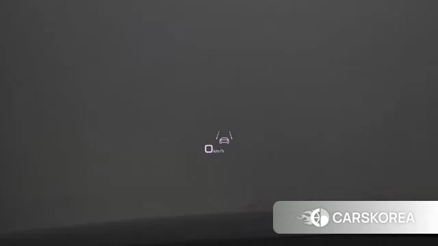 Audi A8 (D5) id 3752956 из Кореи 8