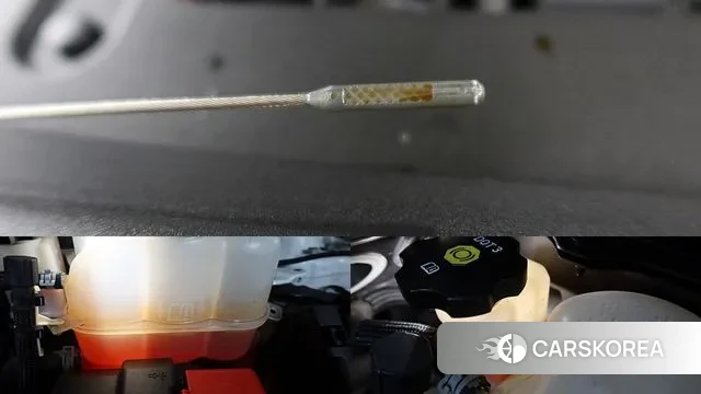 Chevrolet (GM Daewoo) Traverse id 3261556 из Кореи 8