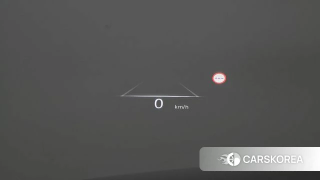 Genesis G80 (RG3) id 3898295 из Кореи 8