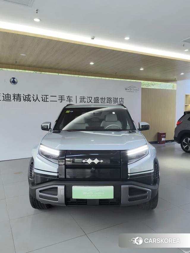 Leopard Titanium 3 id 4028231 из Китая 8