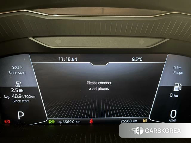 Skoda Speed pie id 4368038 из Китая 8